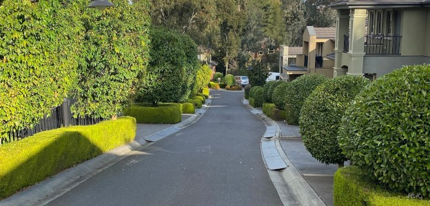 Trimmed hedges and trees in a East Melbourne neighbourhood.
