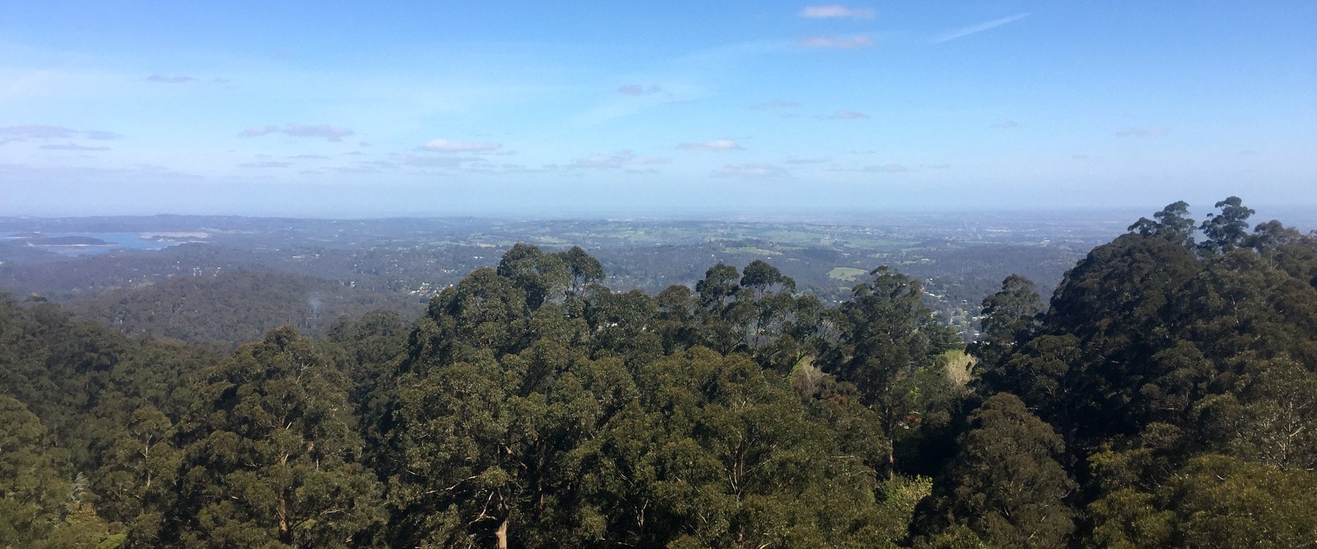 Dense forest on hills near Melbourne Victoria.