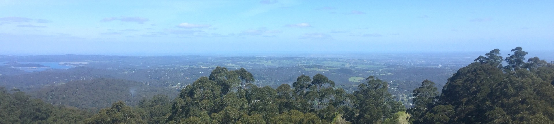 Forest and hills in Greater East Melbourne with view.