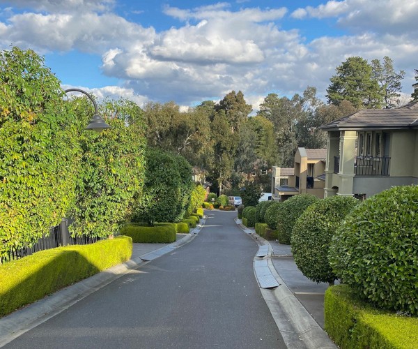 Hedge trimming performed in an eastern Melbourne suburb.