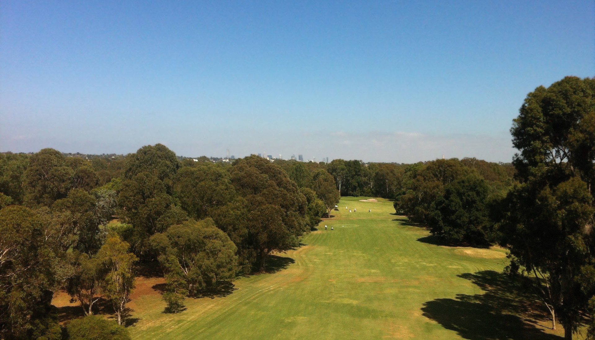 Melbourne golf course with some braced trees.