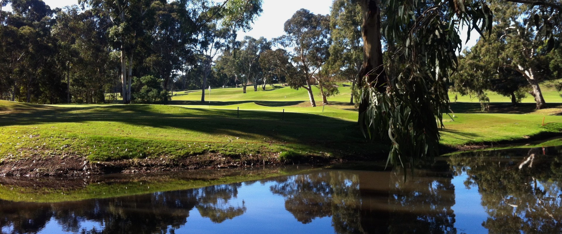 Trees pruned at an Australian golf course.