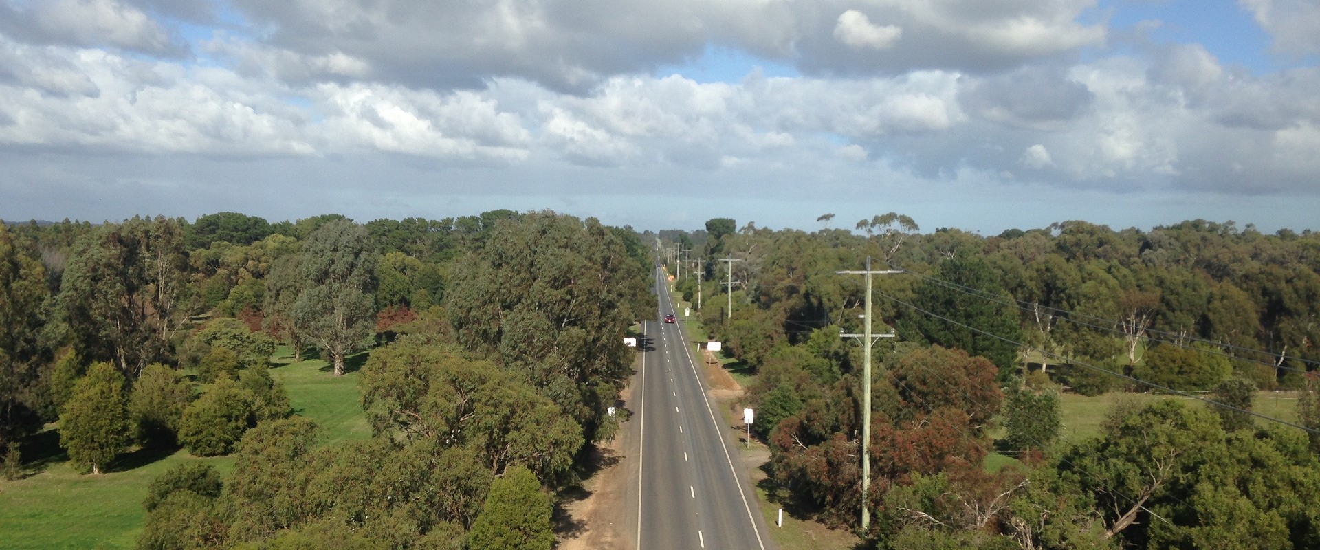 Trees on each side of a road in Victoria Australia.