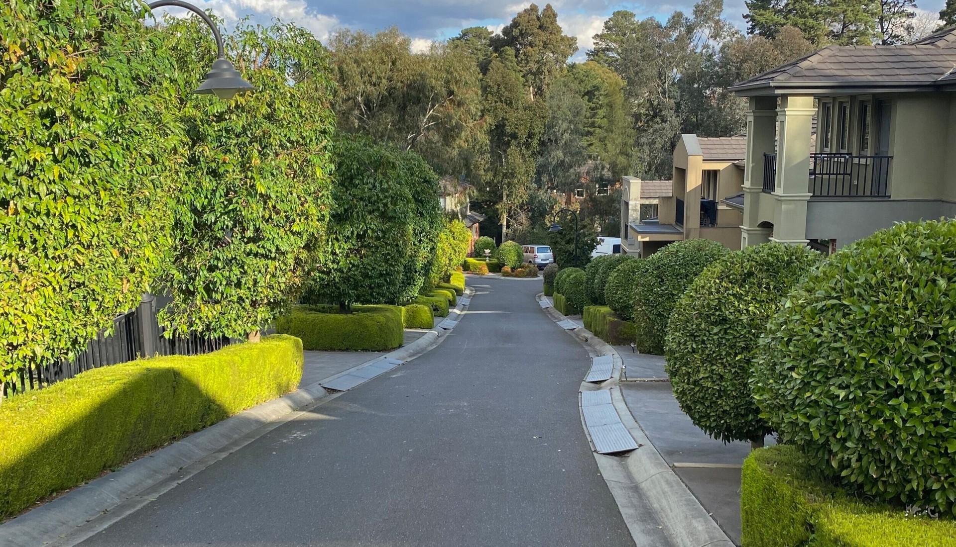 Trimmed hedges in a residential area.