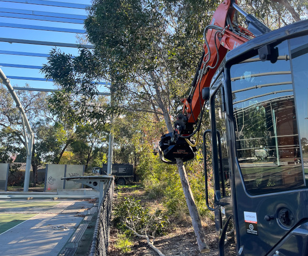 Clearing trees with an excavator for a property under construction.