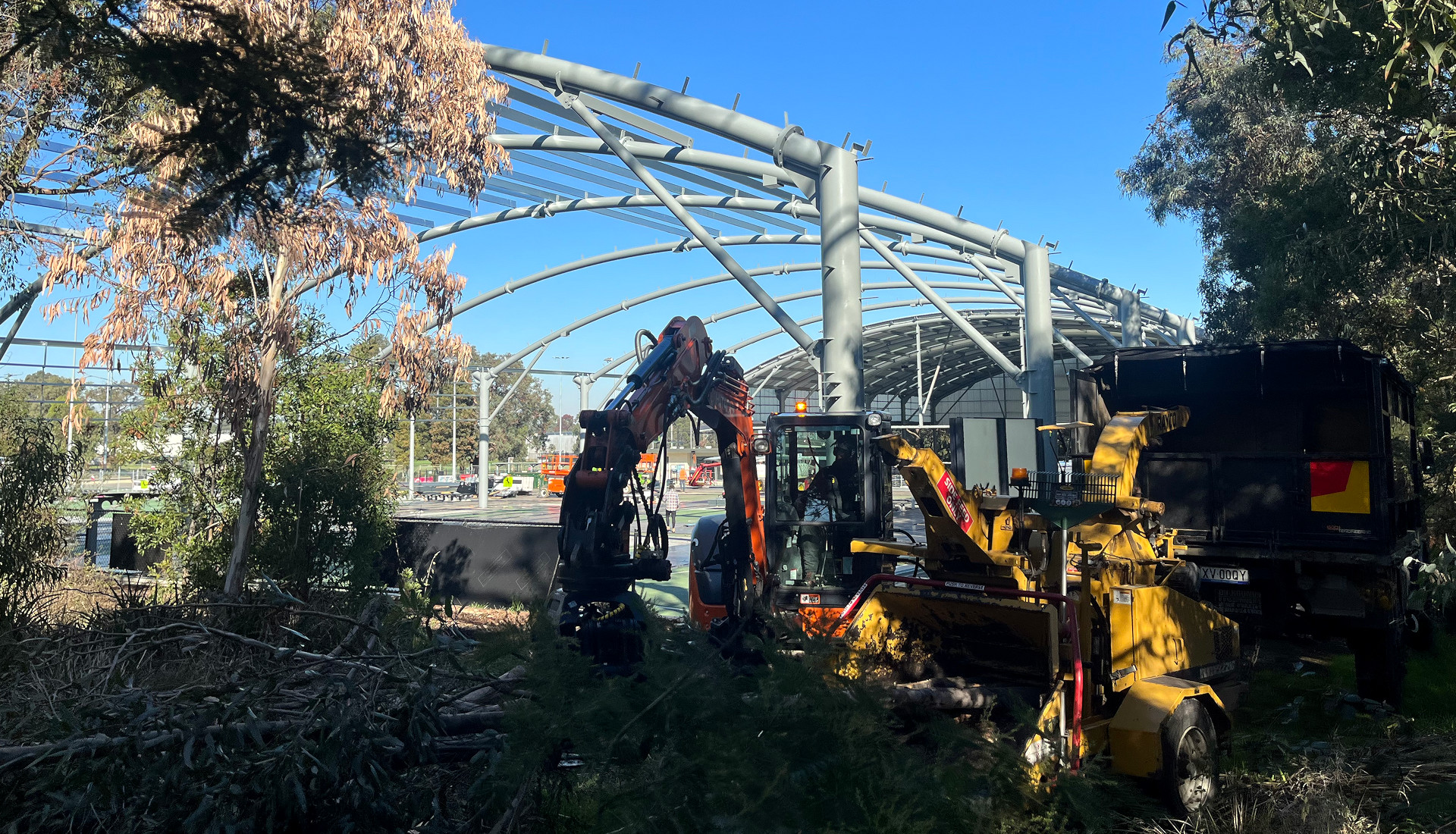 Trees being cleared with machinery by Beneficial Tree Care staff.
