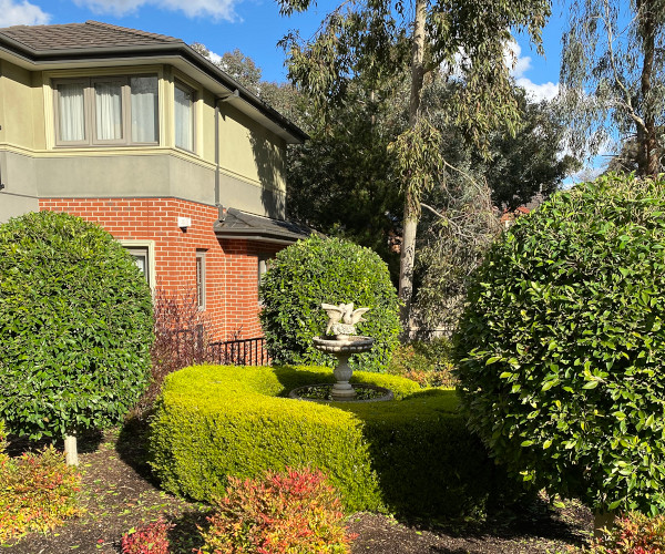 Trimmed clean hedges at a home in Melbourne's eastern suburbs.